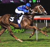 Damo lands a double for Vorster<br>Photo by Singapore Turf Club